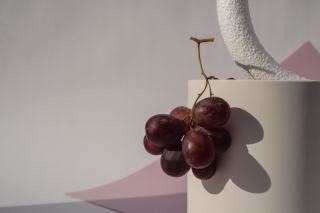 Blanc de Noirs Champagner: weiss gekeltert aus Pinot Noir